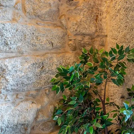 Apartamento Invictus Escape - Jacuzzi & Charm In The *