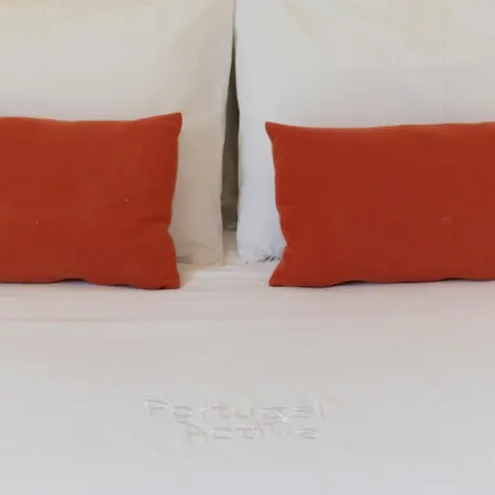 Invictus Escape - Jacuzzi & Charm In The Apartment Porto