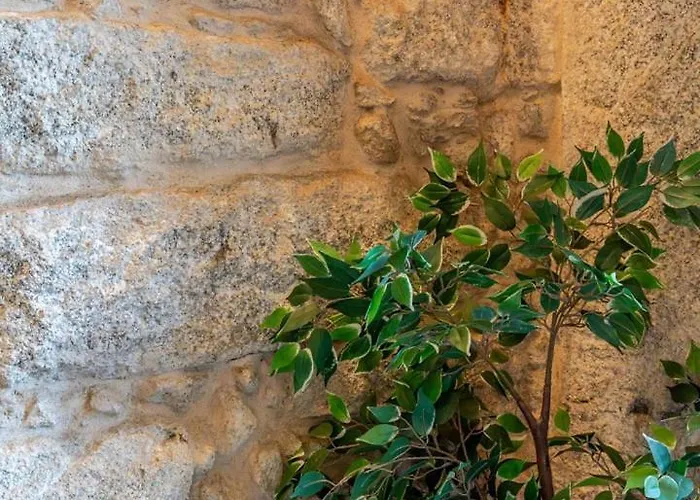 Invictus Escape - Jacuzzi & Charm In The *